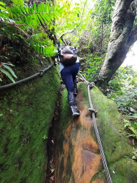 20230715 白雞三山 (鹿窟尖山-雞罩山-白雞山)，高CP好吃的食三麵屋2219470