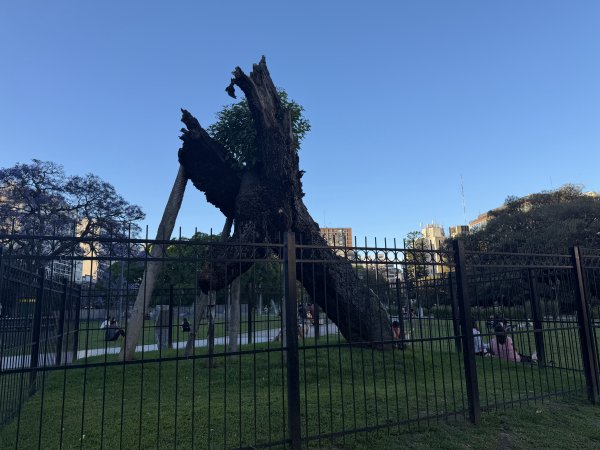 [紐約馬之行-61] 2025_1114 哥倫布劇院2954367