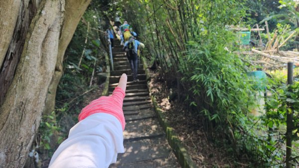 硬漢嶺大崩壁＆占山(尖山)連峰O走3071692