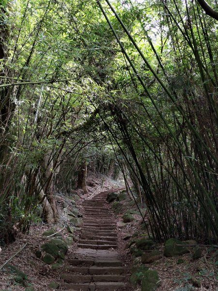 【台北市淡水區】面天山、向天山(清天宮登山口)2278843