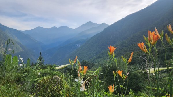 大禮部落立霧山2195117