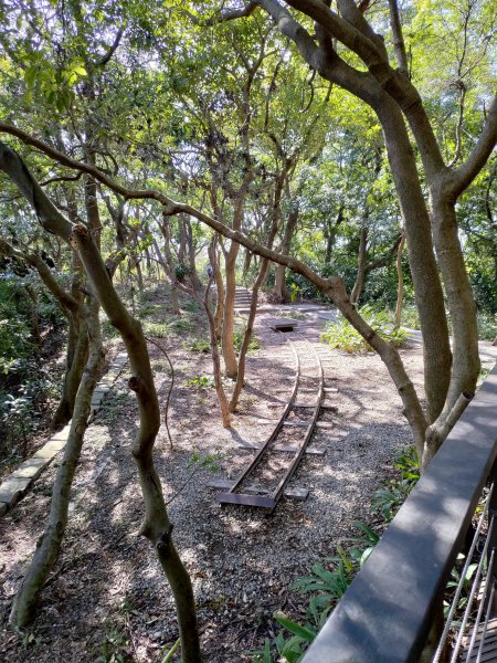 虎頭山-虎嶺迎風步道775389