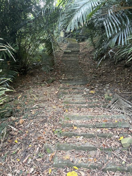 20251101烏山縱走北段 雲山寺至刣牛湖山(途經風空子山.孟璋山.烏山.刣牛湖山北峰)2928751