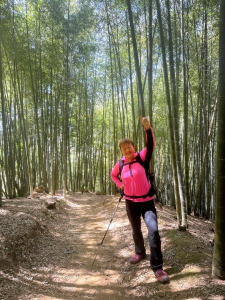 嘉南雲峰、九穹神木3014475