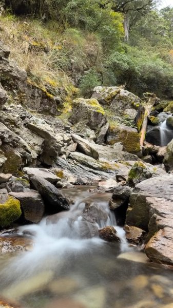 小關山 神池 2026 01/09 兩天一夜2982148