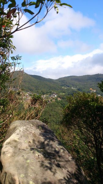 忠勇山親山步道112619