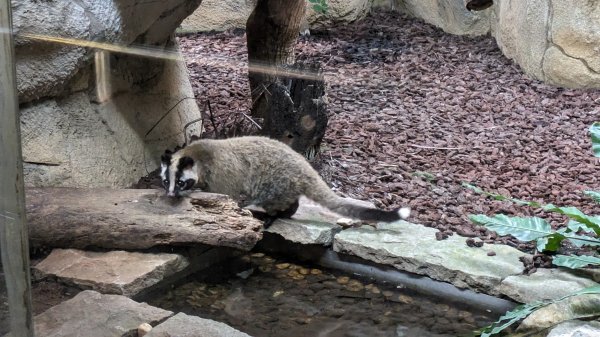 木柵動物園2322101