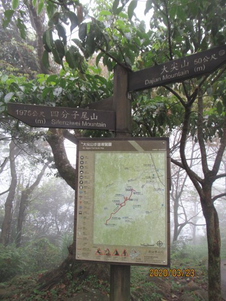 汐止大尖山908482