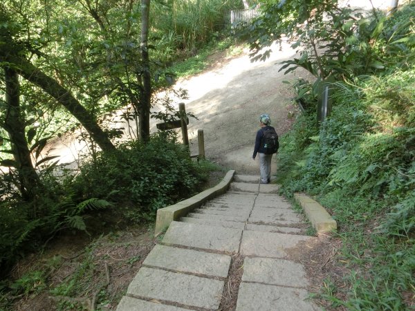 鳳崎落日步道．蓮花寺步道452662