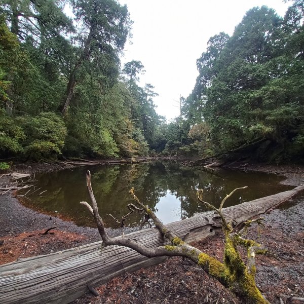 塔魔巴魔塔2698665