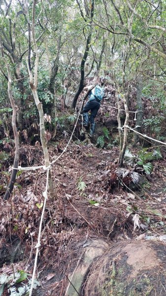 平溪大湖格隧道，石底觀音山、刀石崙、一坑古道O型1970903