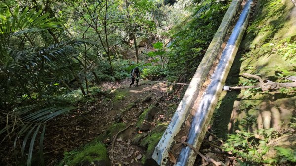 小百岳石牛山＆三坑生態園區走到大平紅橋2327971