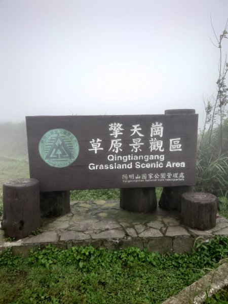 陽明山之擎天崗2207165