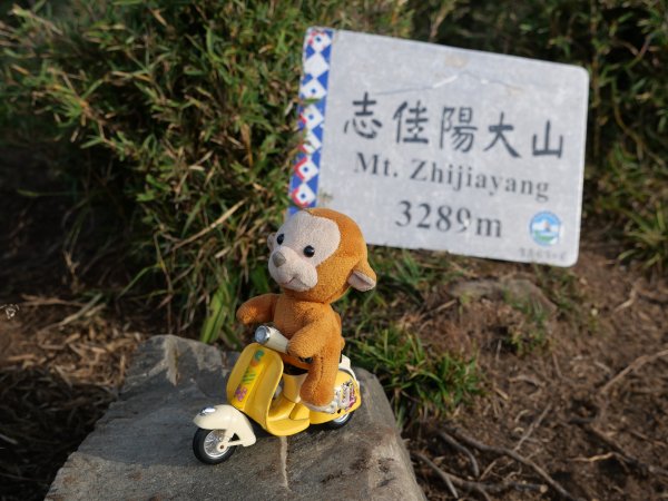 志佳陽大山 賞旭日雲彩 08/15-161072673