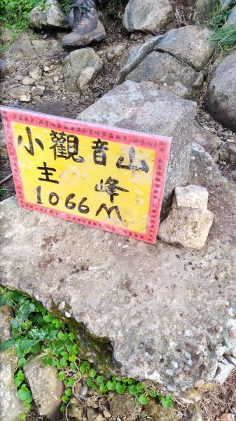 小觀音山685856