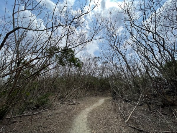 大山母山遙望大尖山2085393