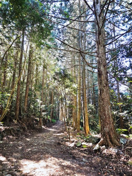 屋我尾山-谷關七雄 老三2962552