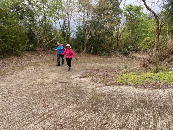 鵝公髻山（小百岳）鵝公髻山東北峰2449872