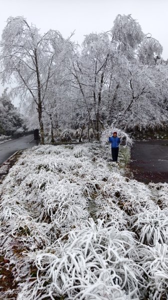 我的2025 第三場雪 #翠峰湖步道 #望洋山 #金翼白眉  2/92708860