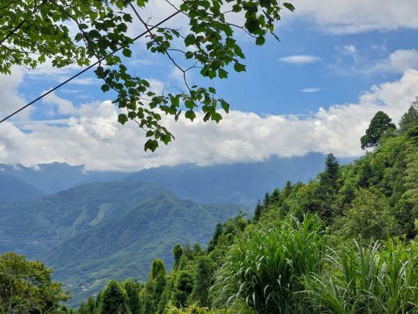 鵝公髻山和東北峰連走1727421