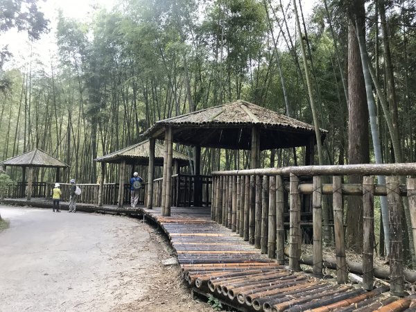 110年4月25日雲林  雲嶺之丘 五元二角 木馬古道1456546