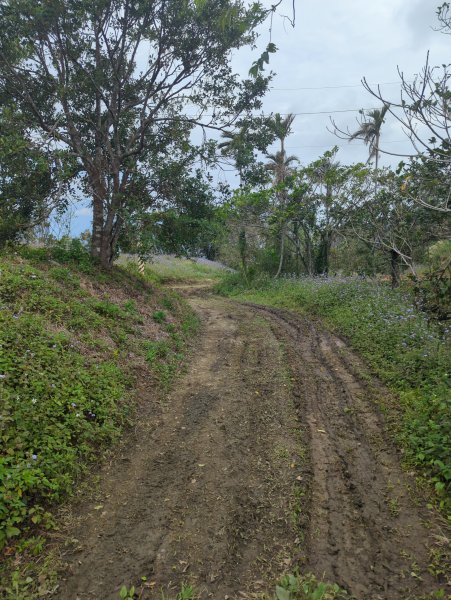 2025.02.27－月眉山2727895