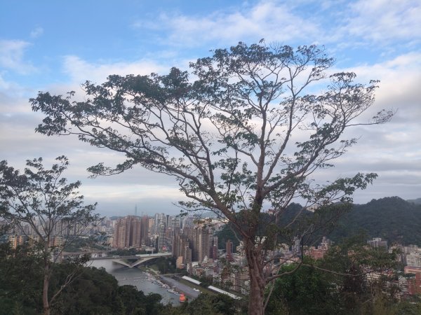 微笑山線：和美山2953988