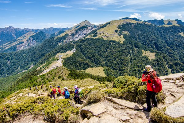 合歡山北峰賞高山杜鵑(2021/04/30)1370872