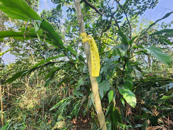 20250404雙十縱走失敗撤退改走蝙蝠山2892561