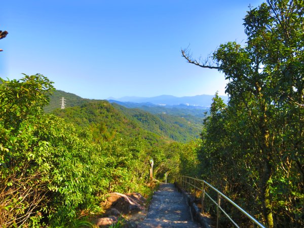 龍年首登的好選擇，鯉躍龍門，搭捷運來內湖爬三尖，鯉魚山、忠勇山、圓覺尖2426507
