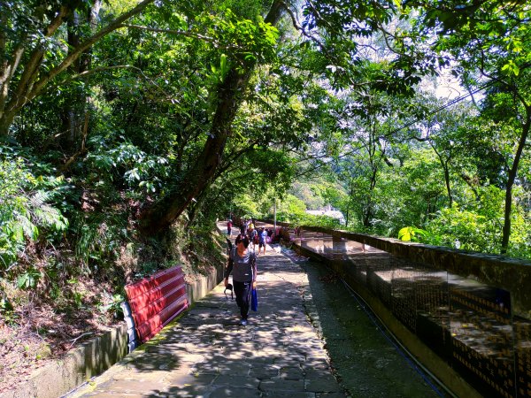 城市清涼桃花源：土城桐花公園步道632900