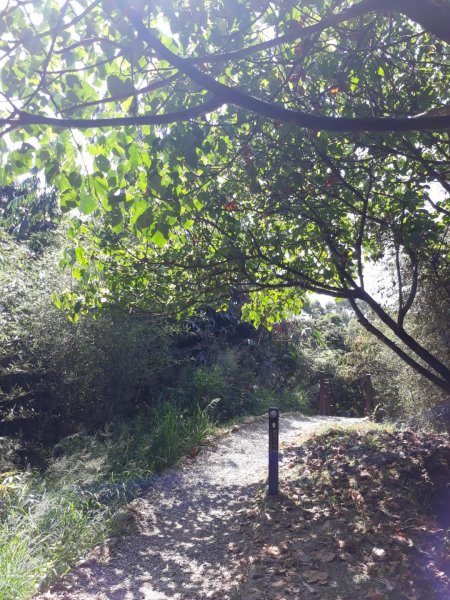 台中大坑步道7上6下20181027444588