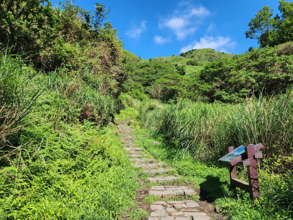 小百岳No.2⛰七星山主峰×七星山東峰2396342