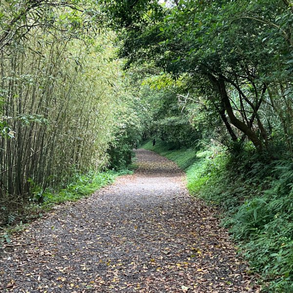 4/12台北大縱走第二段小油坑到二子坪2763659