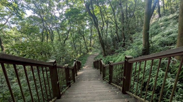 橫山步道2838244