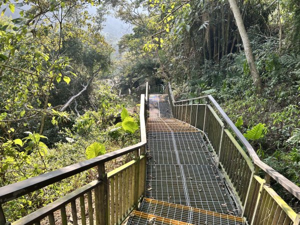 萬年峽谷步道2969835