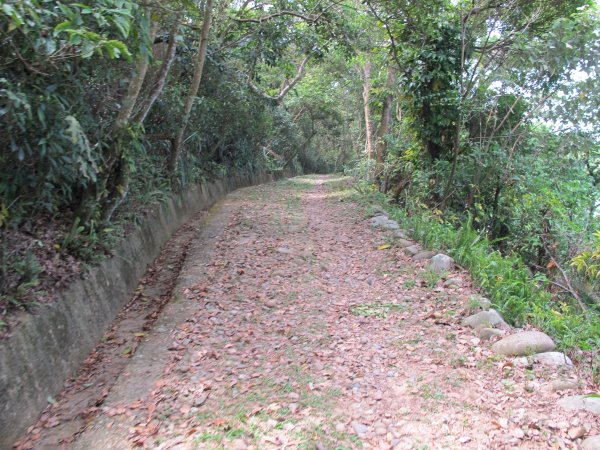 毘盧禪寺步道942233