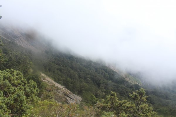 20221107南橫關山嶺山溪頭山O型1910607