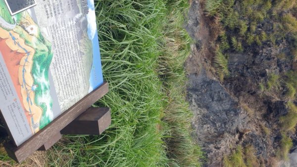 收集小百岳 002 台北七星山 20210801(一)1792572