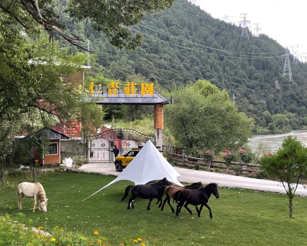 川藏深度之旅33天/A行程2902815