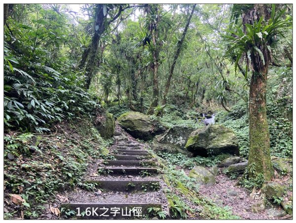 聖母峰、三角崙山 (抹茶山) 連走2802197