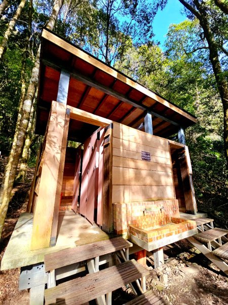 鎮西堡巨木群步道(B區)-(新竹)臺灣百大必訪步道3007827