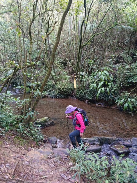 璀璨百年淡蘭古道～崩山坑古道、溪尾寮山、保城坑古道、虎豹潭步道O走1313477