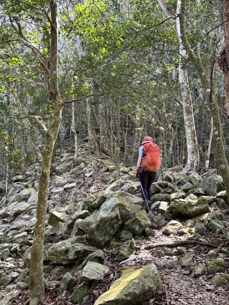 屋東縱走 202503012729000