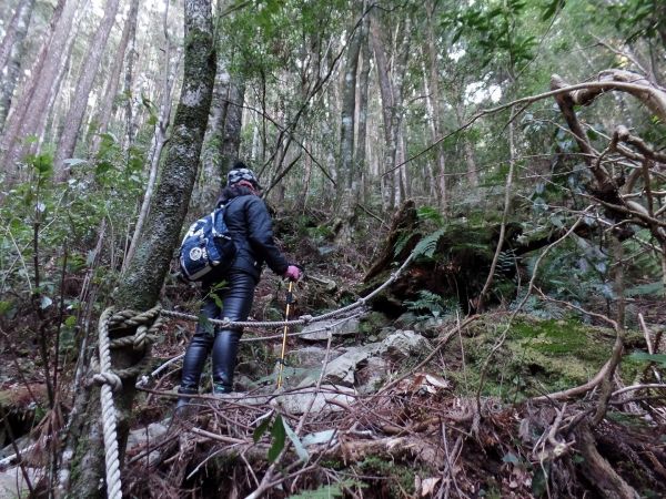 2018/1/14 橫嶺山305274