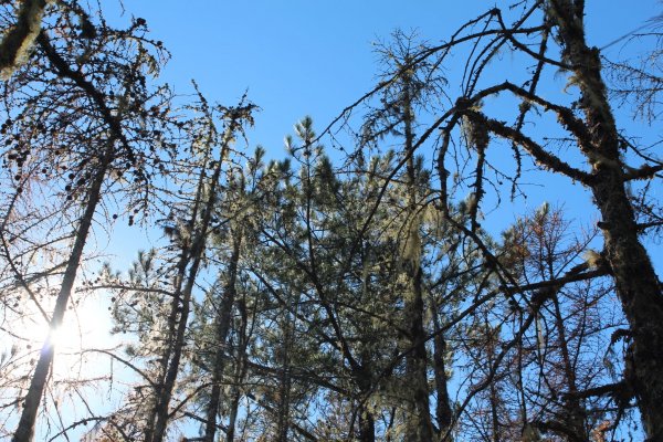 20211120南投郡大山1525103