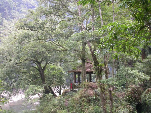 內洞森林遊樂區1966182