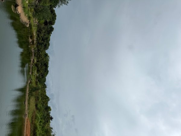 大湳森林公園2860329