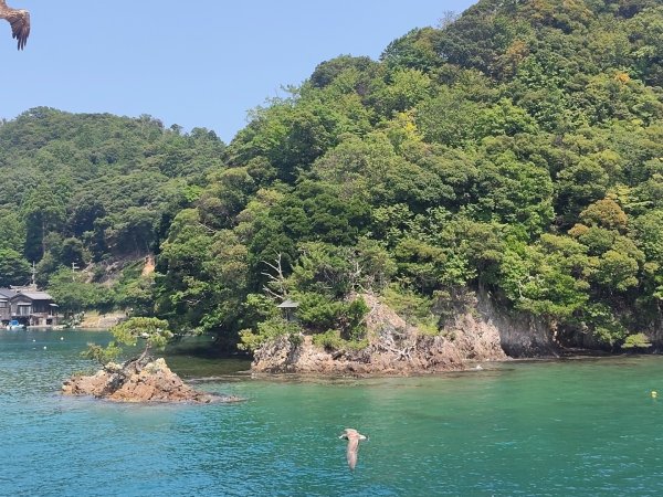 伊根町船舟3088283