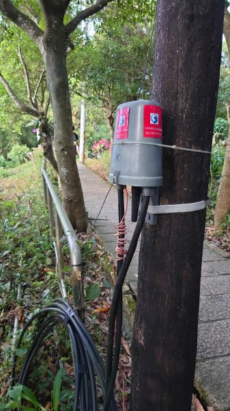 臺北大縱走第六段1779605